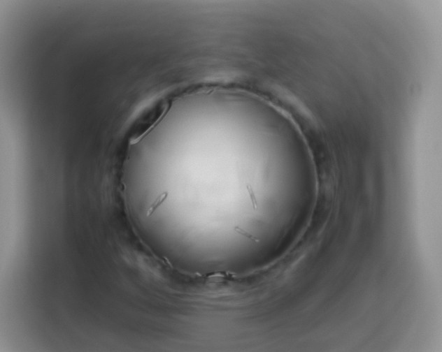 X0000113751256200910071059