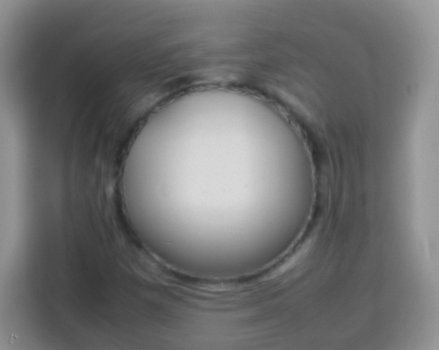 X0000113751257200910071059