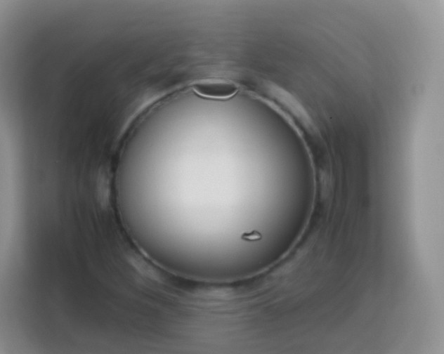 X0000113751260200910071059