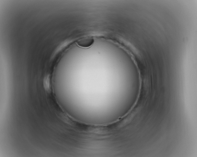 X0000113751262200910071059