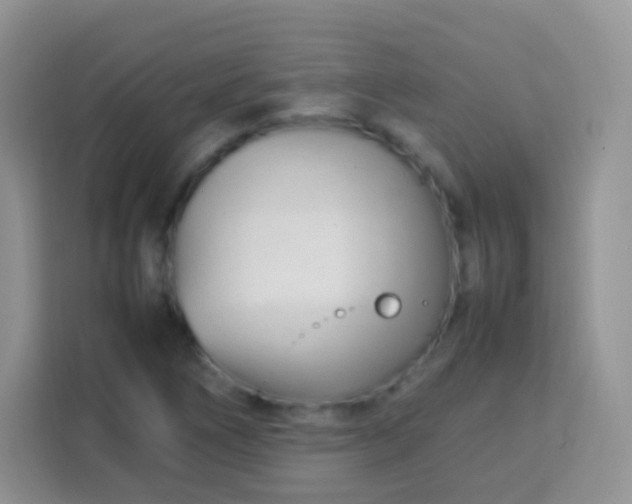 X0000113751266200910071059