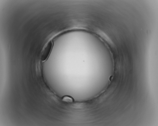 X0000113751268200910071059