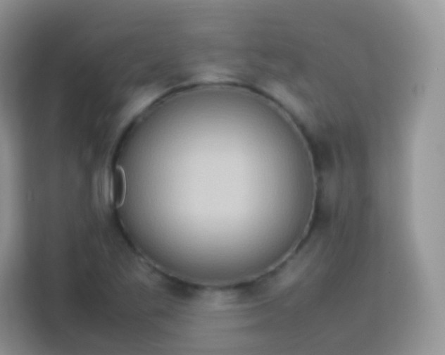 X0000113751269200910071059