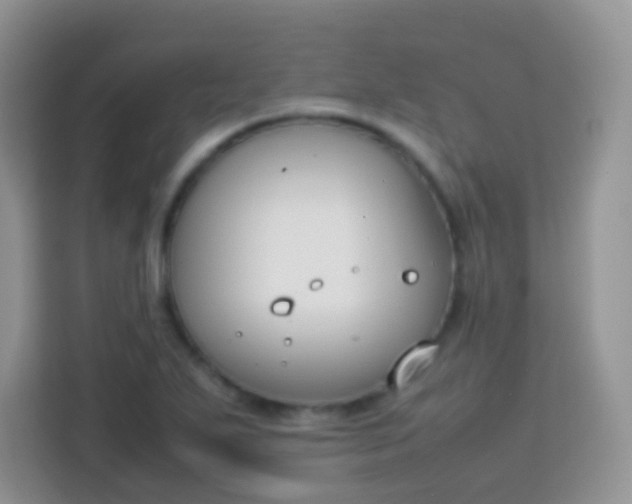 X0000113751271200910071059