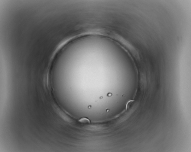 X0000113751272200910071059