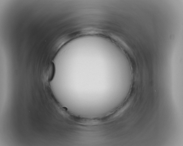 X0000113751273200910071059