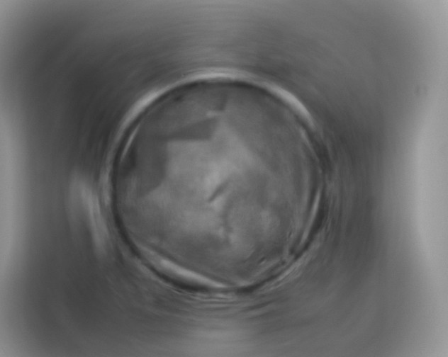 X0000113751279200910071058