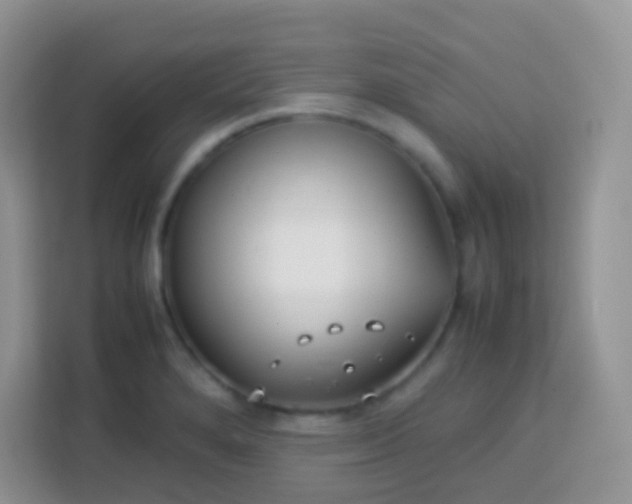 X0000113751280200910071058