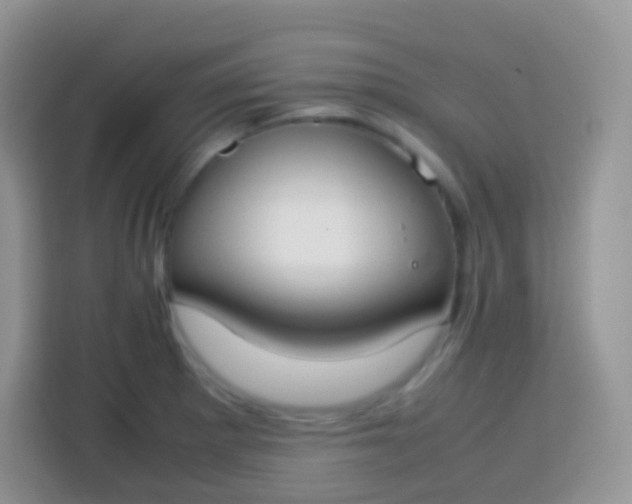 X0000113751281200910071058