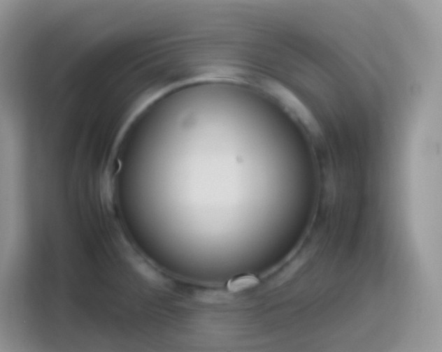 X0000113751284200910071058