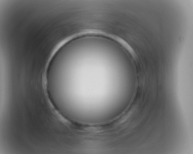 X0000113751287200910071058