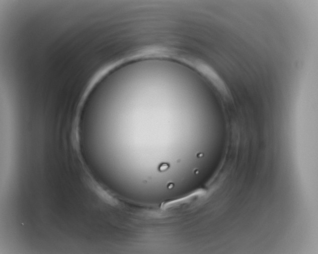 X0000113751288200910071058