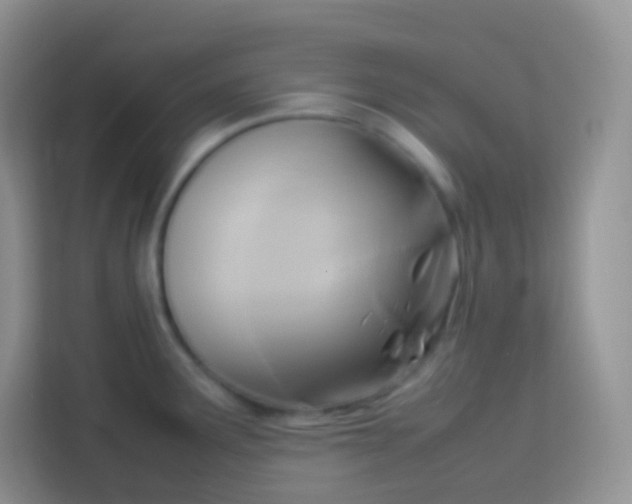 X0000113751291200910071058