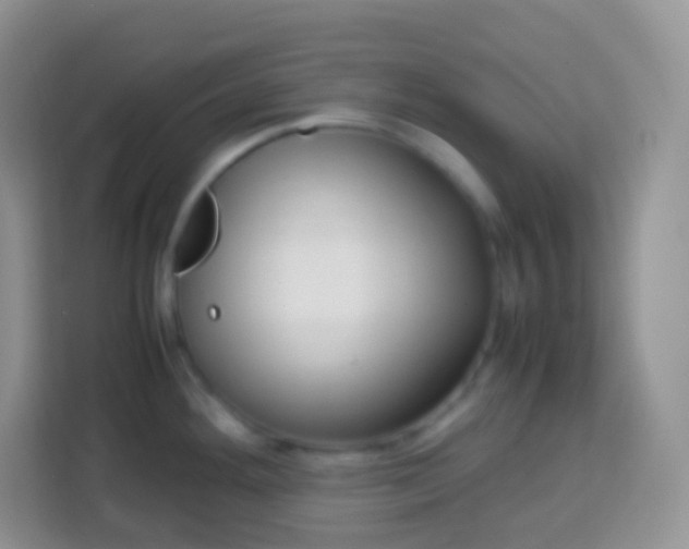 X0000113751292200910071058