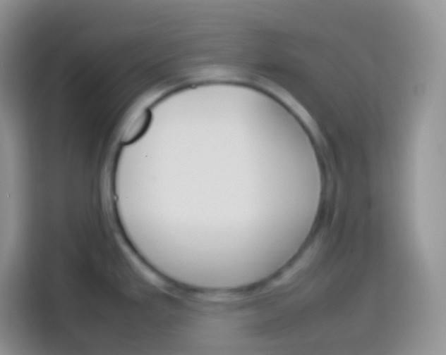 X0000113751293200910071058