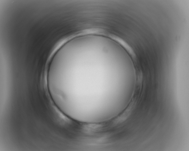 X0000113751294200910071058