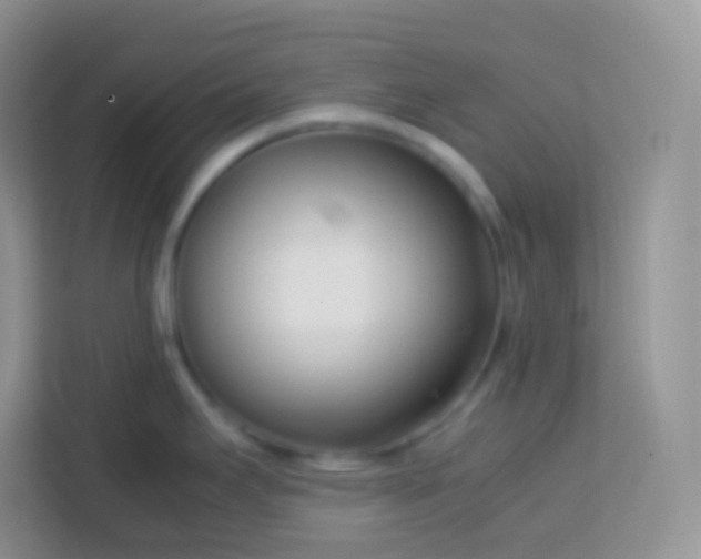 X0000113751295200910071058