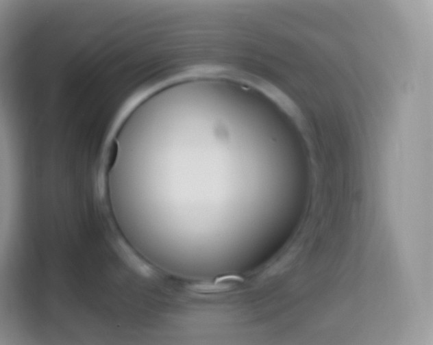 X0000113751296200910071058