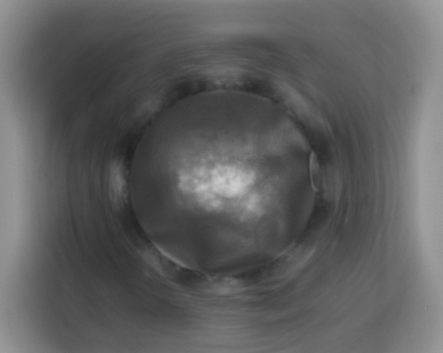 X0000113751298200910071058