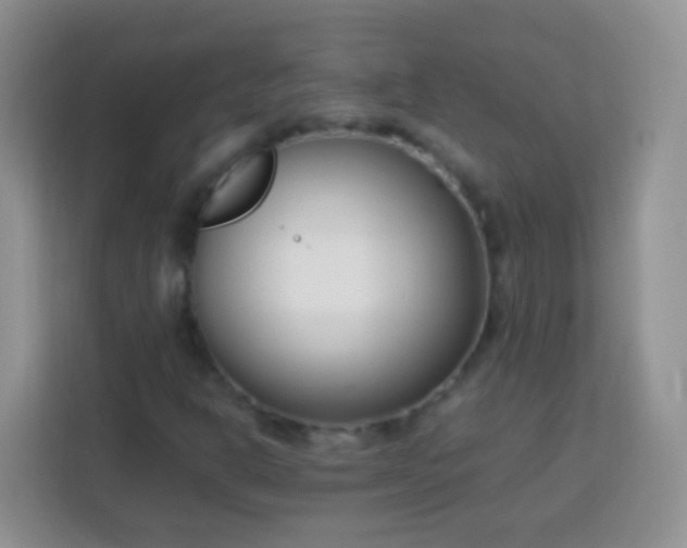 X0000113751302200910071058