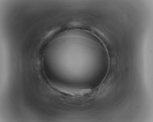 X0000113751303200910071058