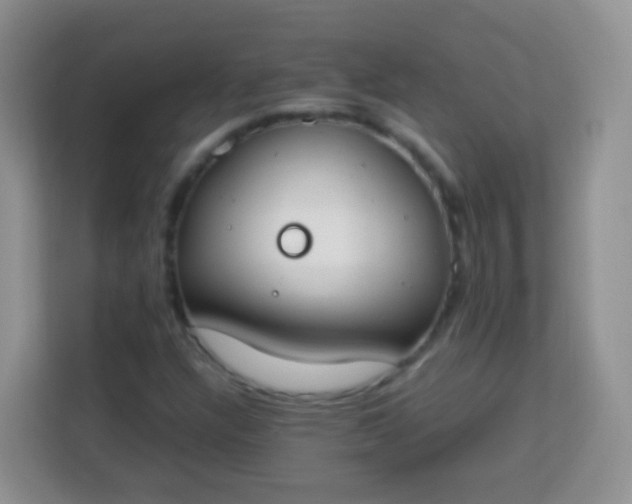 X0000113751304200910071058