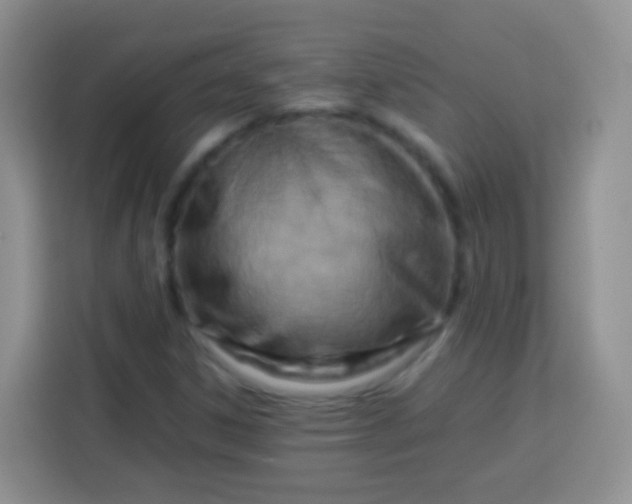 X0000113751306200910071058