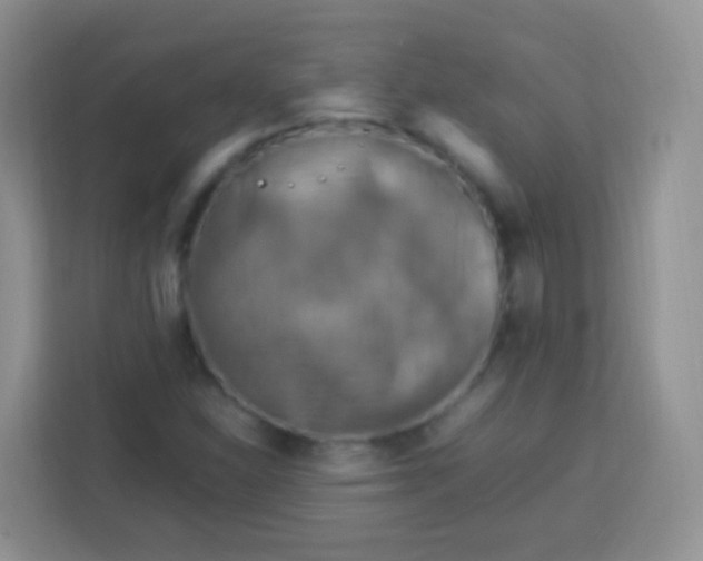 X0000113751310200910071058