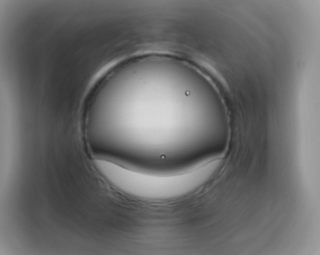 X0000113751312200910071058