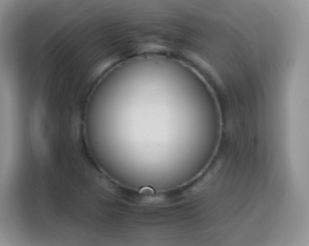 X0000113751313200910071058