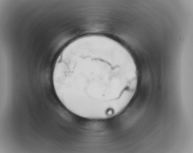 X0000113751314200910071058