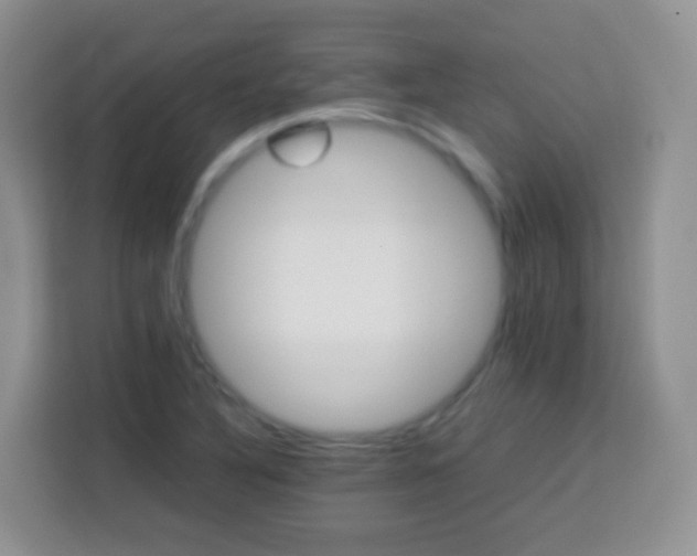 X0000113751316200910071058