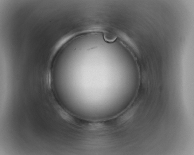 X0000113751320200910071058