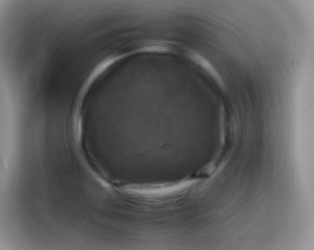 X0000113751323200910071058