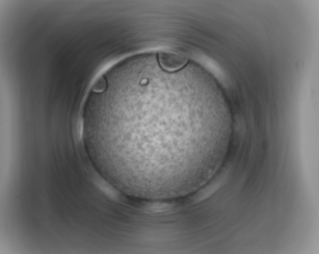 X0000113751324200910071058