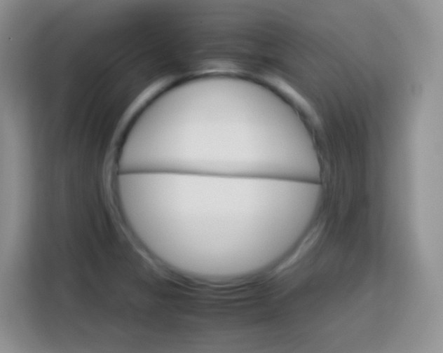 X0000113751325200910071058