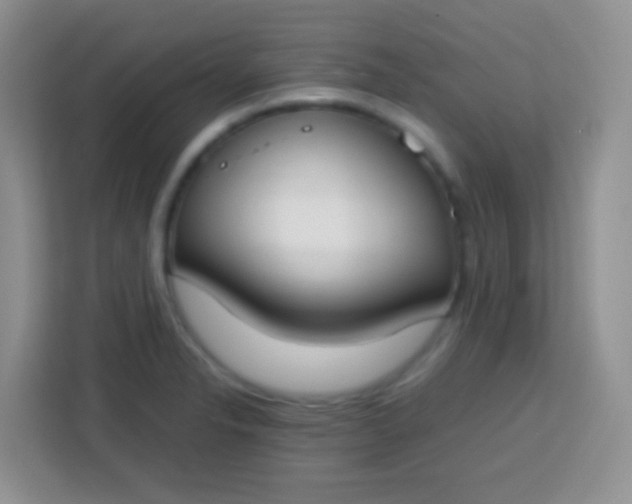 X0000113751326200910071058