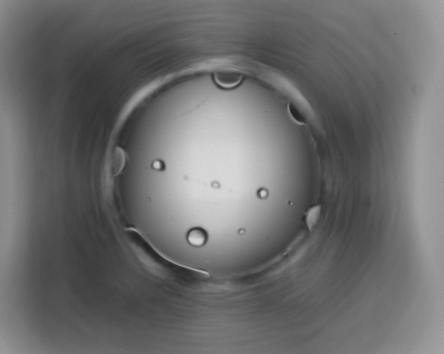 X0000113751328200910071058