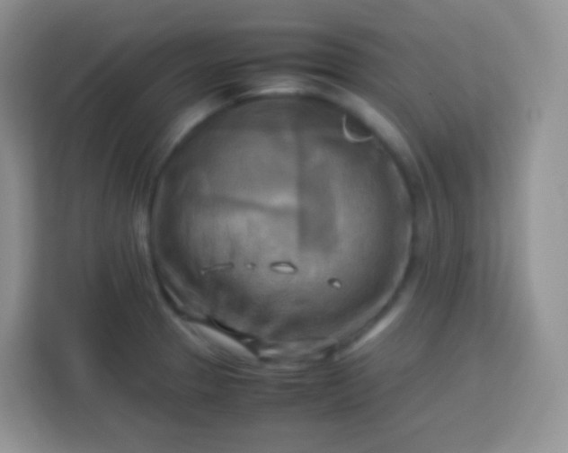 X0000113751329200910071058