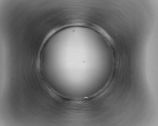 X0000113751332200910071058