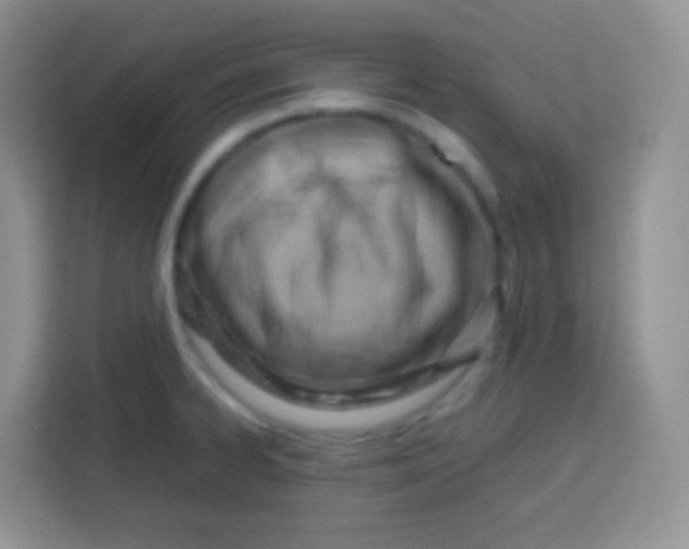 X0000113751334200910071058