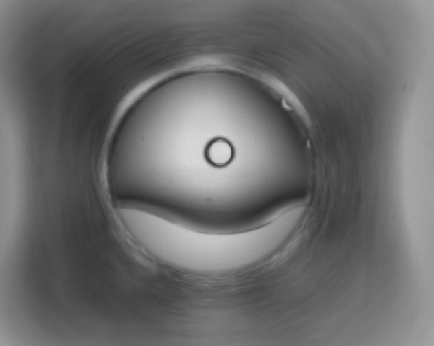 X0000113751336200910071058