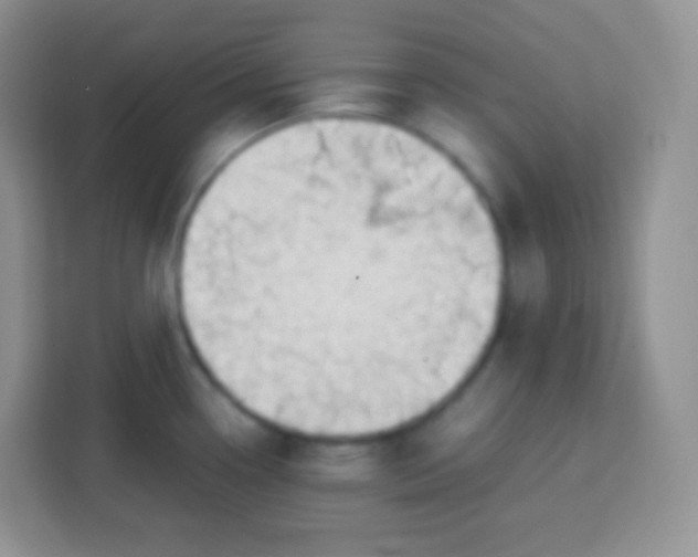 X0000113751338200910071058