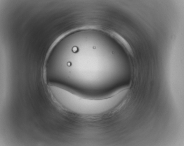 X0000113751340200910071058