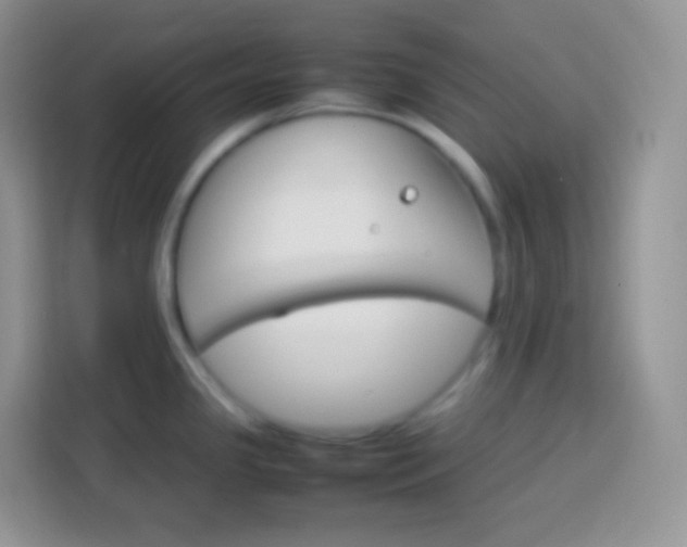 X0000113751341200910071058