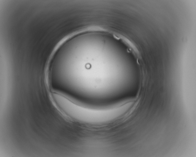 X0000113751342200910071058