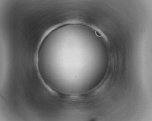 X0000113751343200910071058