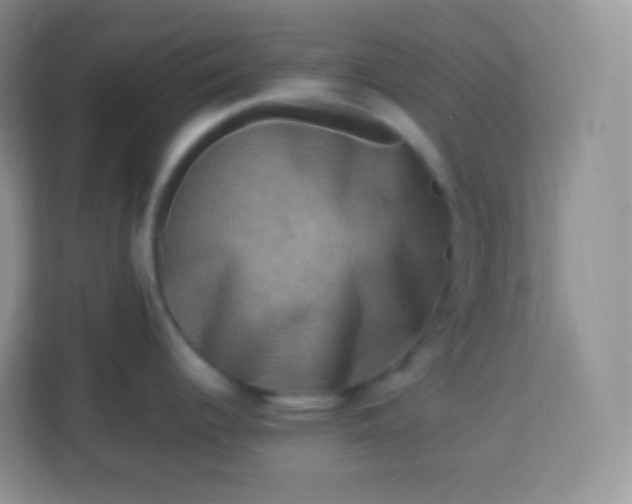 X0000113751344200910071058