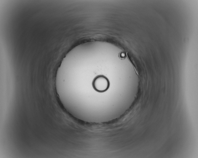 X0000113751345200910071058