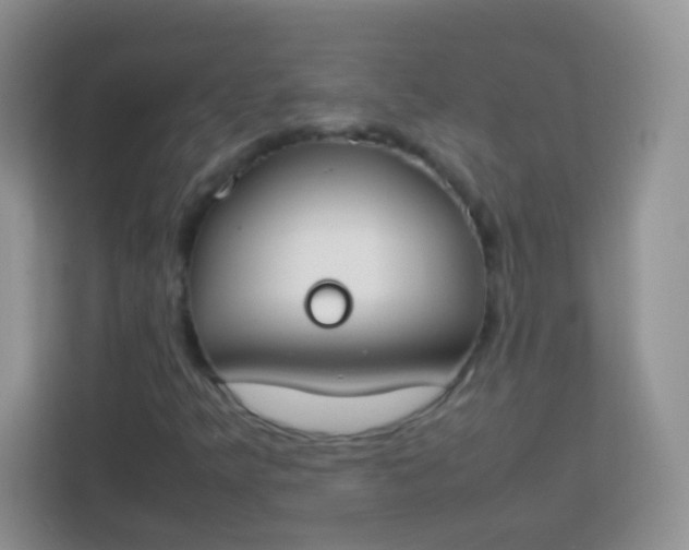 X0000113751349200910071058